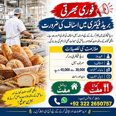 Bread Factory Staff Required | Male Factory Job | Bread Factory jobs