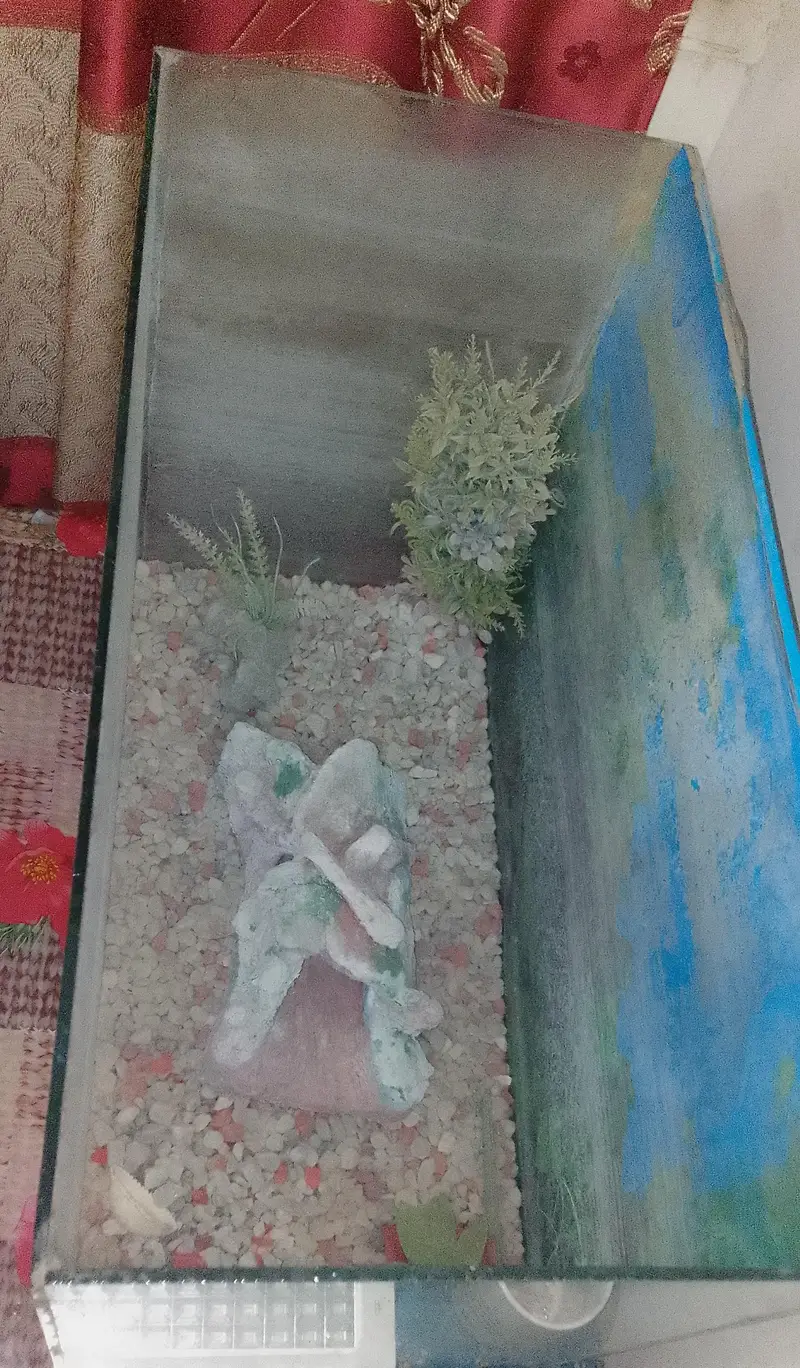 Aquarium for sale — photo 2