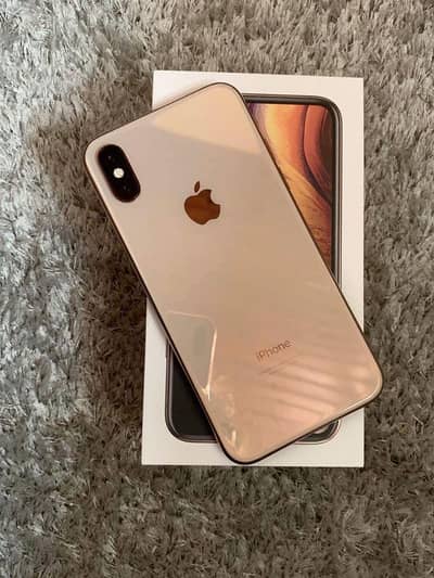 Apple iPhone X