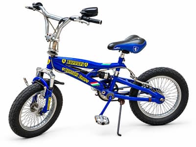Ferrari Bicycle