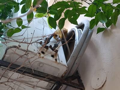 ac split