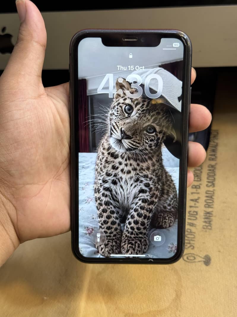 Apple iPhone 11 0