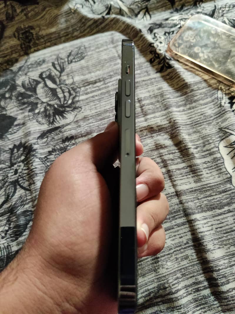 Apple iPhone 13 Pro Max 1