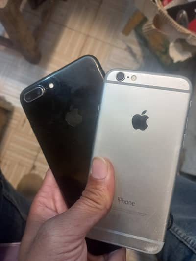 Apple iPhone 7 Plus and 6