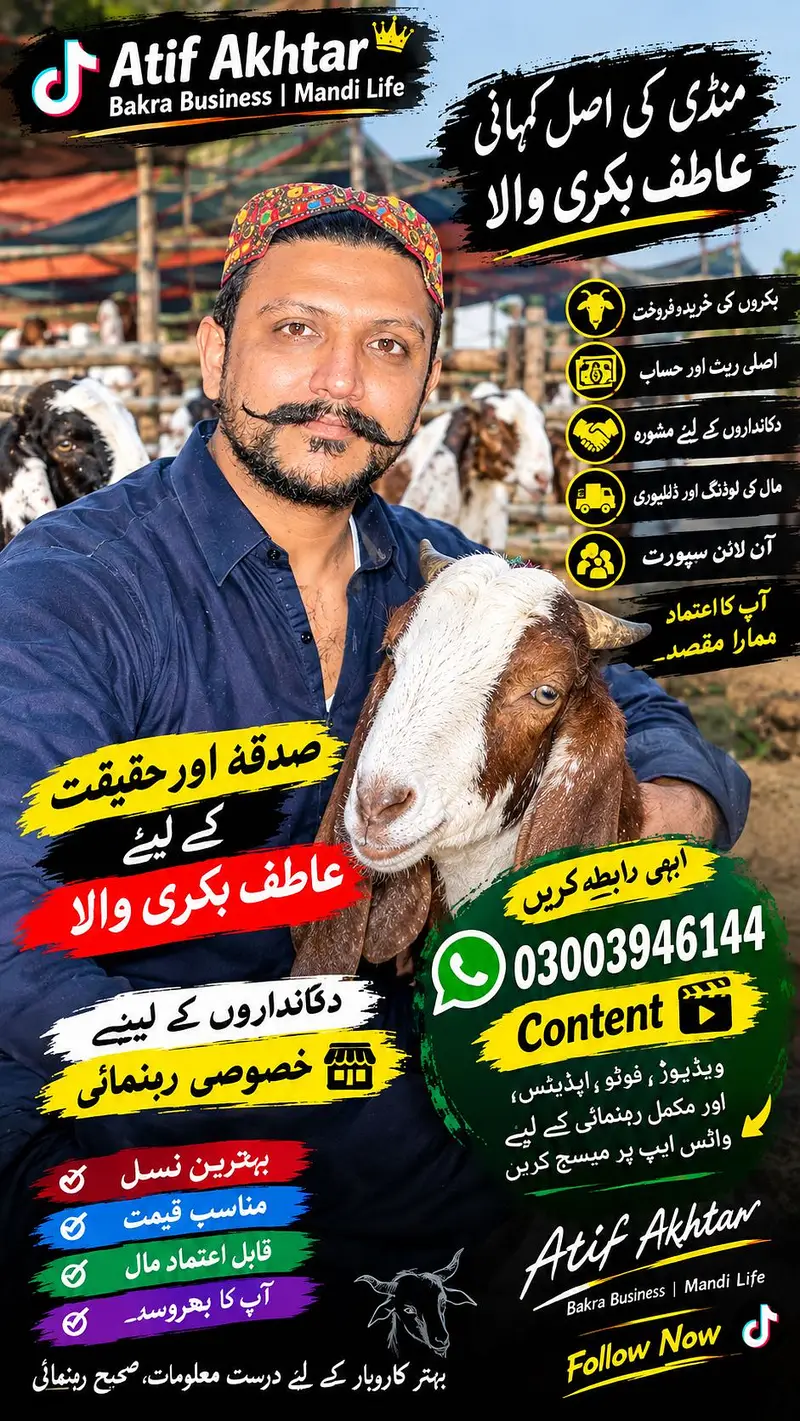 Qurbani, Sadqa aur Aqiqa ke liye khoobsurat sehatmand bakray — photo 3
