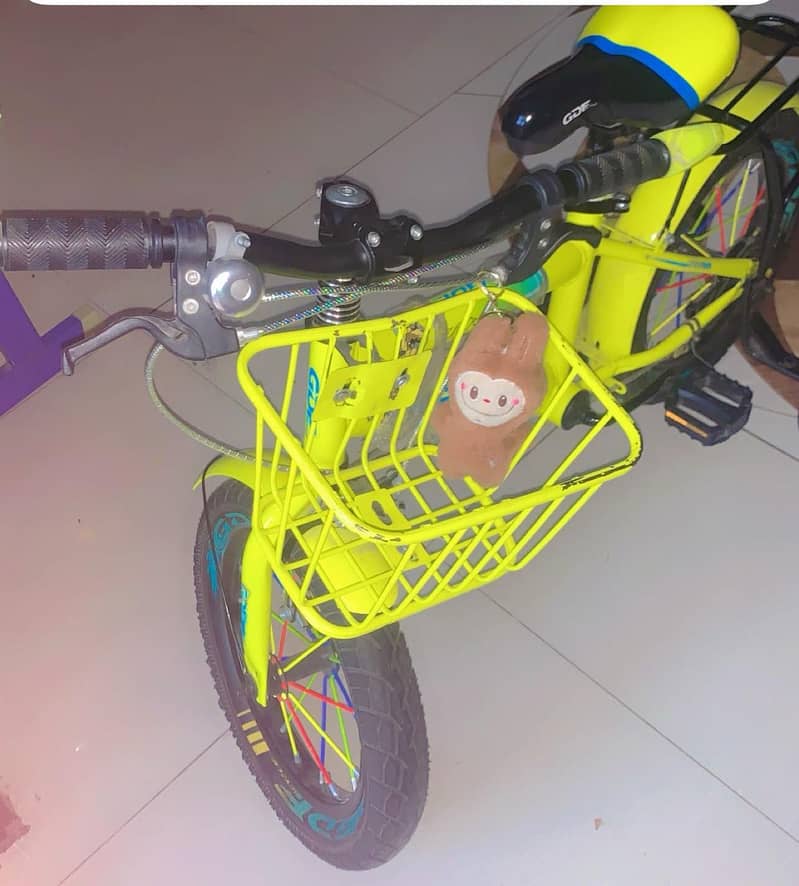 CDF Bicycles 1