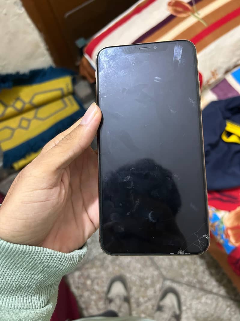 IPhone Xs Max Waterpack 1
