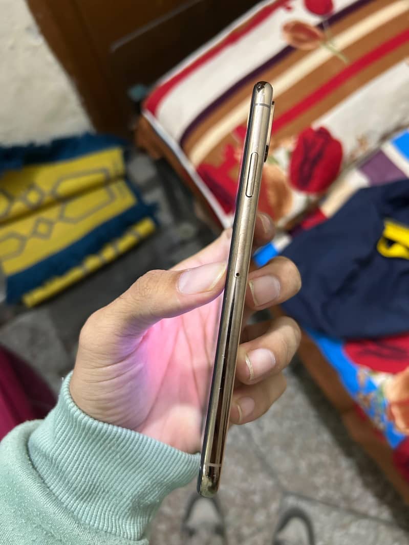 IPhone Xs Max Waterpack 2