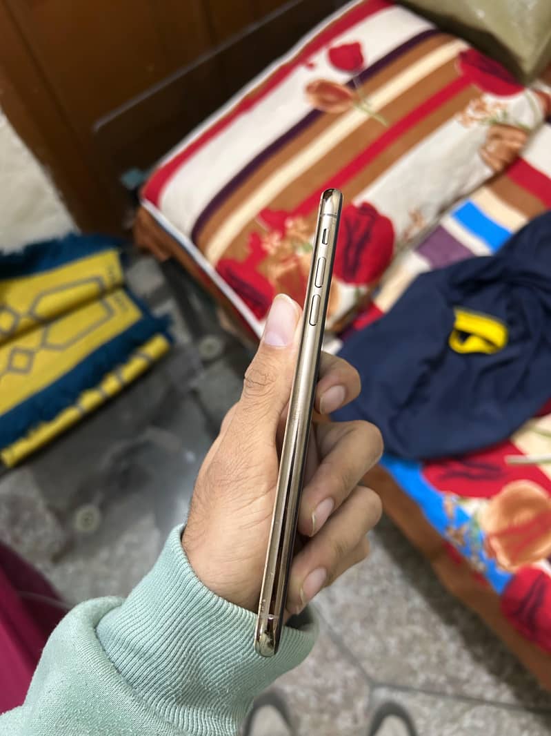 IPhone Xs Max Waterpack 4