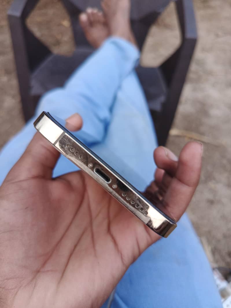 Apple iPhone 12 Pro Max 1