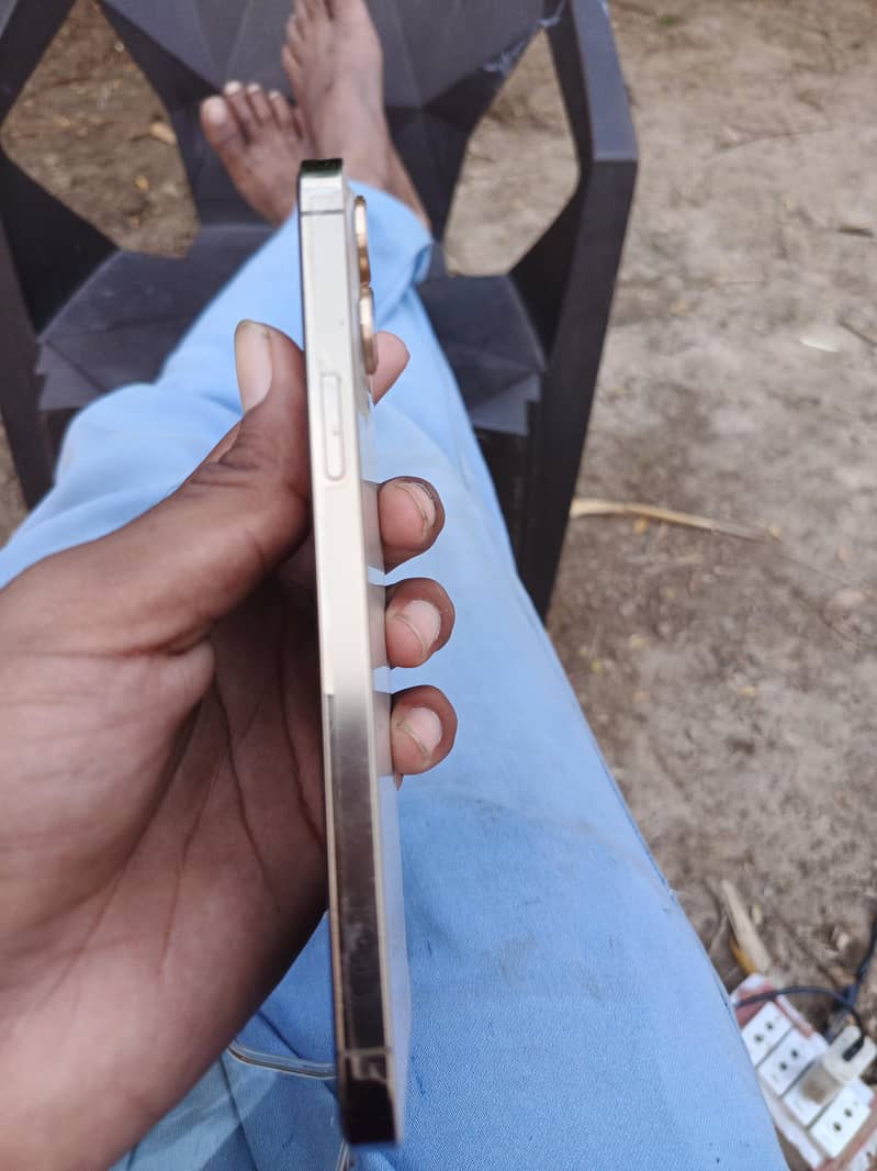 Apple iPhone 12 Pro Max 2