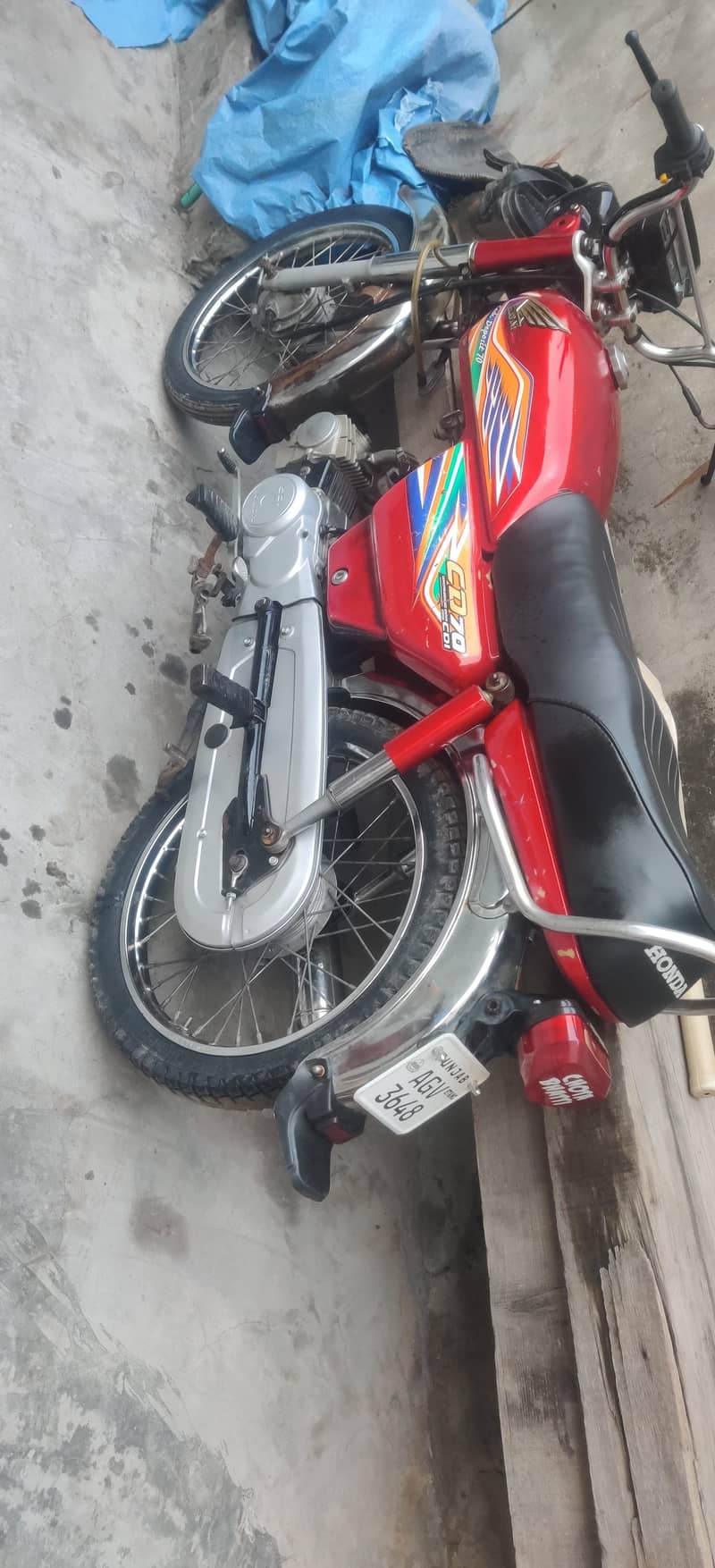 argant sal 0
