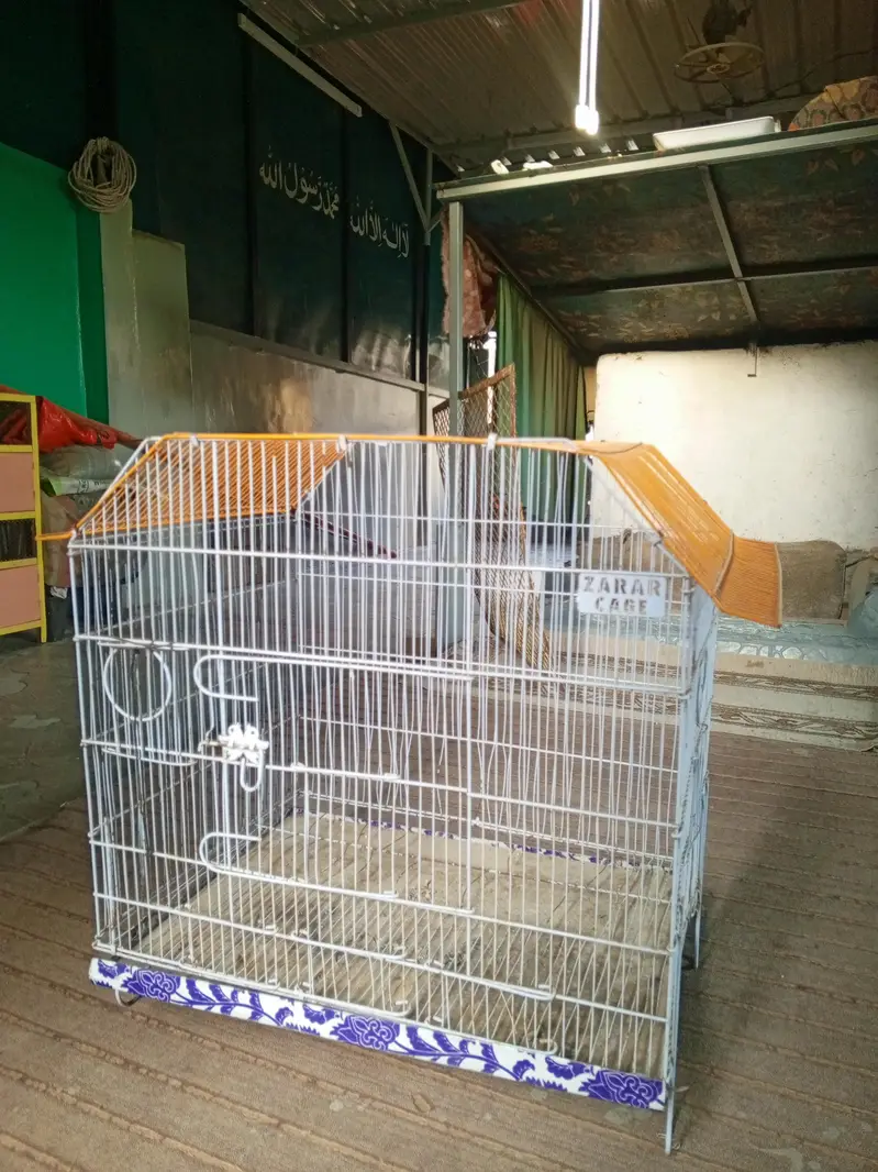 Urgent Good Condition Bird Cage for Sale — photo 2