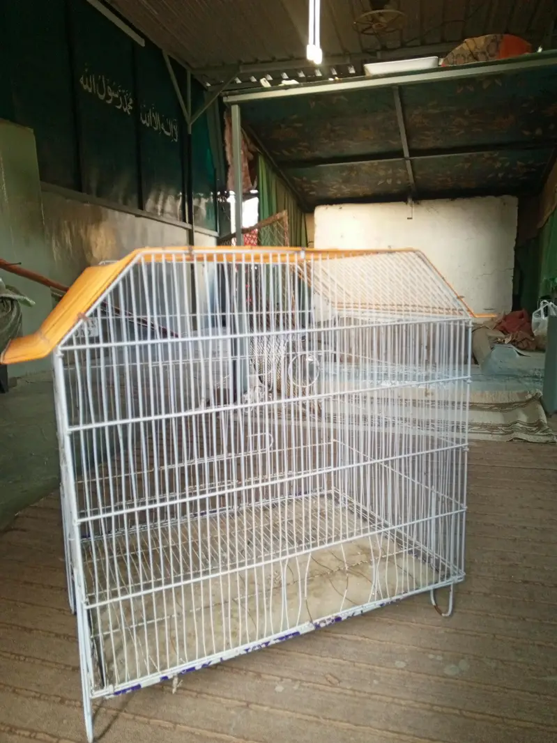 Urgent Good Condition Bird Cage for Sale — photo 5