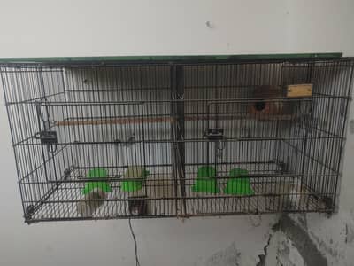 Double Partition Bird Cage Heavy Black Metal