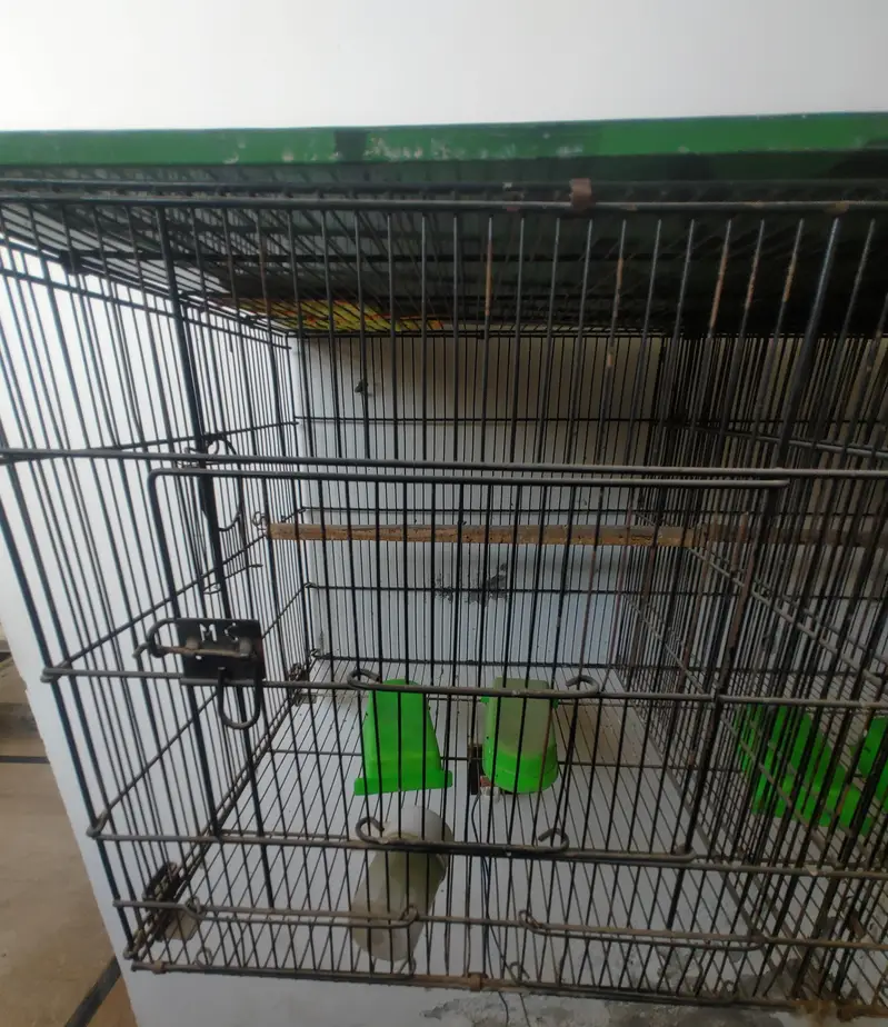 Double Partition Bird Cage Heavy Black Metal — photo 2