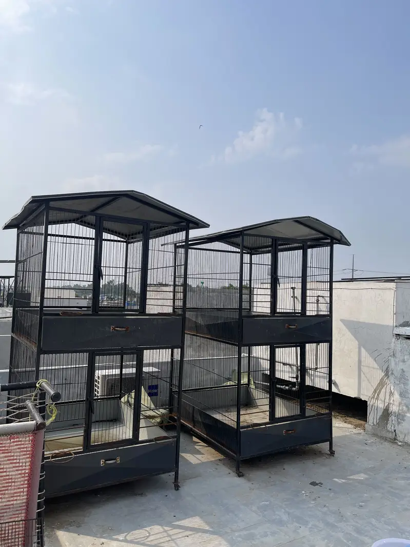 2 hen cages big size — photo 2