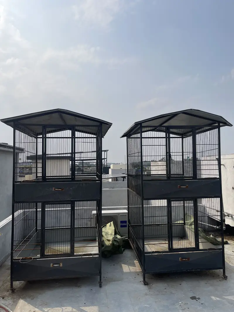 2 hen cages big size — photo 3