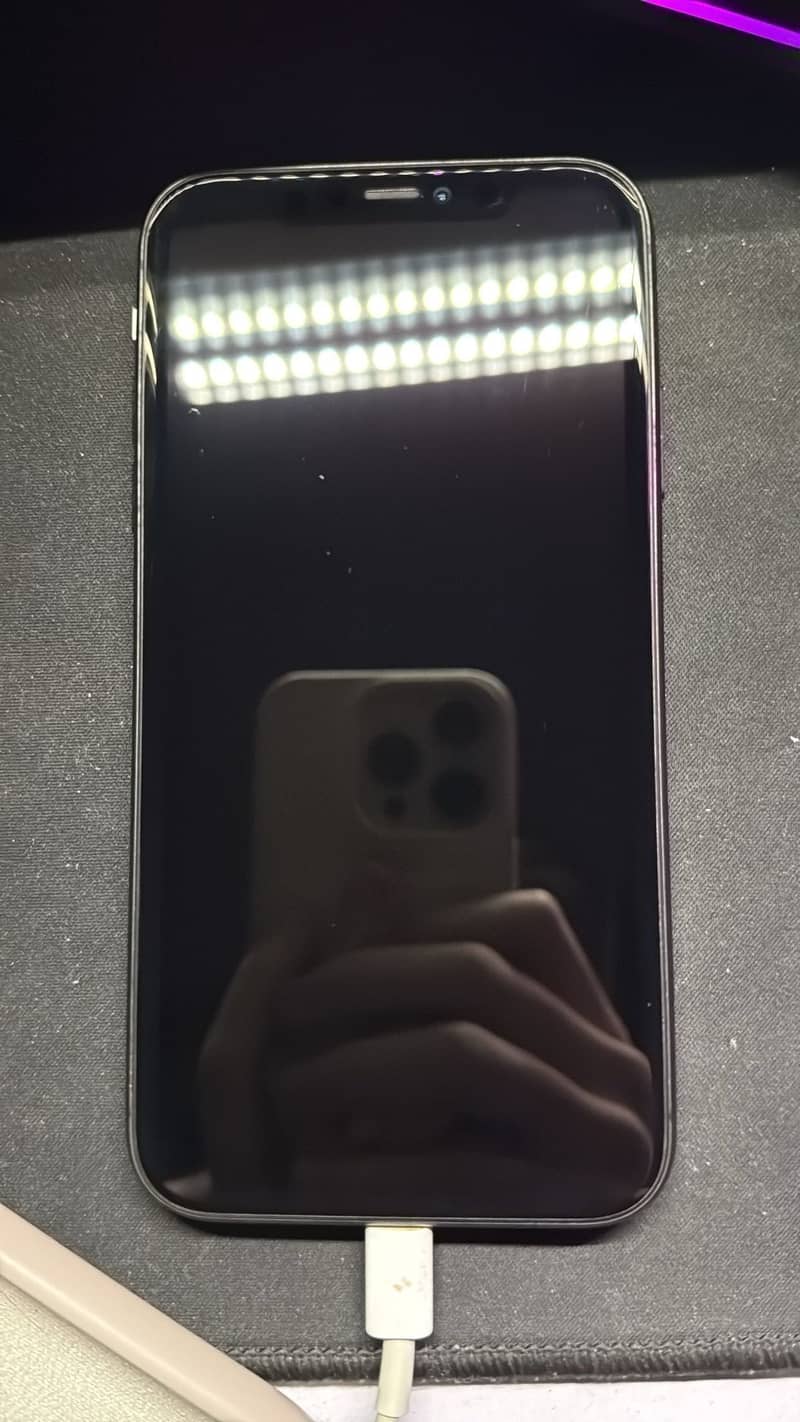 Apple iPhone 11 0