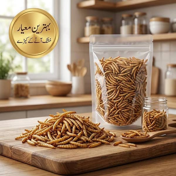 Premium Mini Dried Mealworms for Pets – High-Protein Organic Insects (100g/250g/500g/1000g) by Prime Port