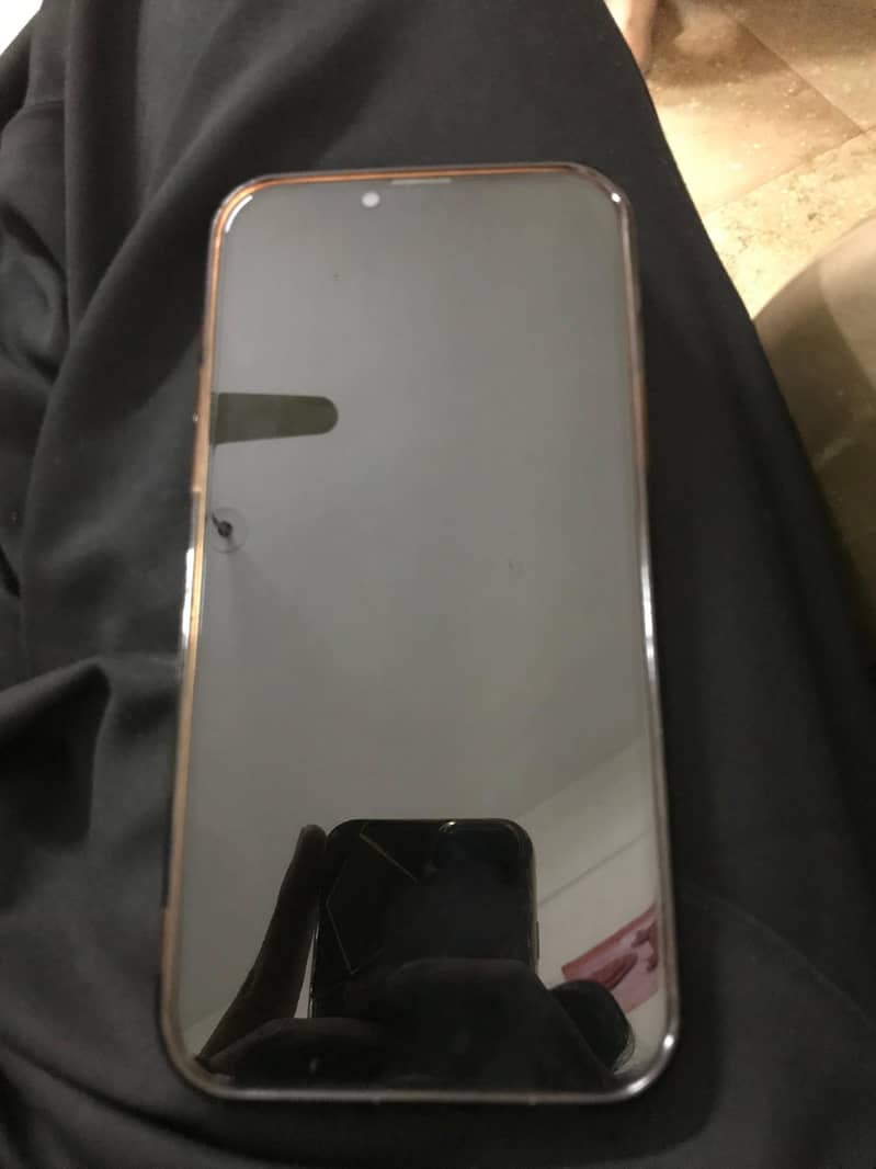 Apple iPhone 13 Pro Max 5
