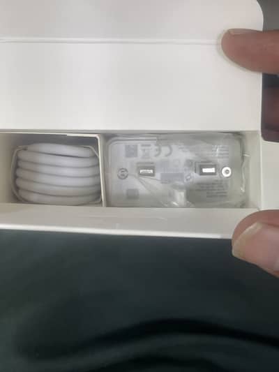 Xiaomi 67W Ultra Fast Charger (MDY-13-EE)