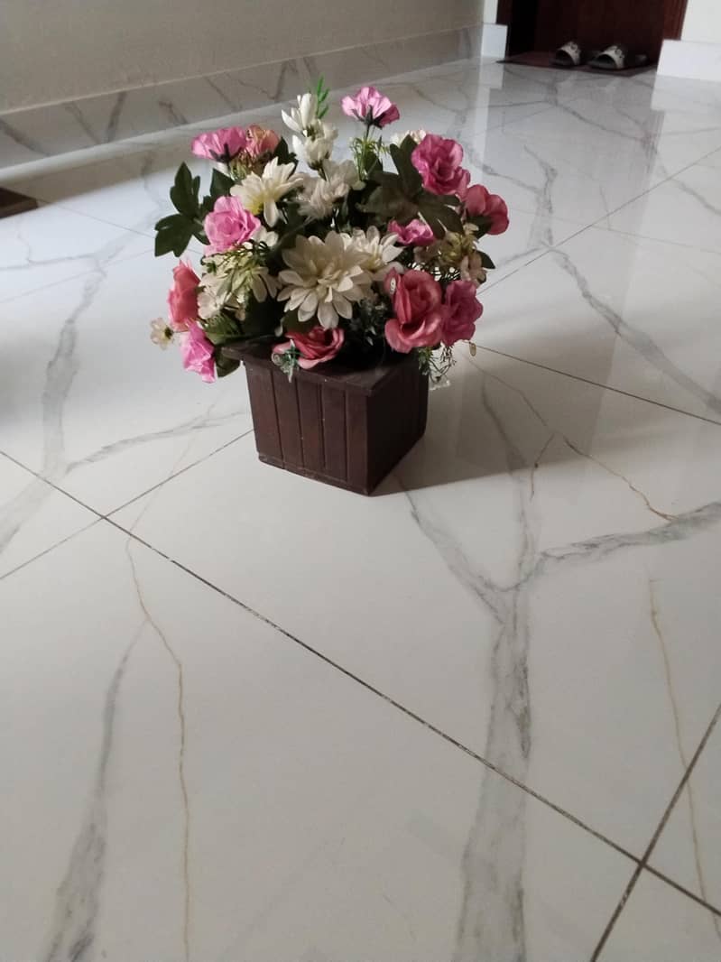 planters 1