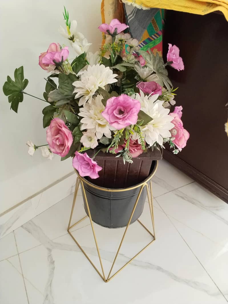 planters 4