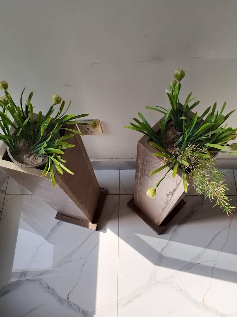 planters 6