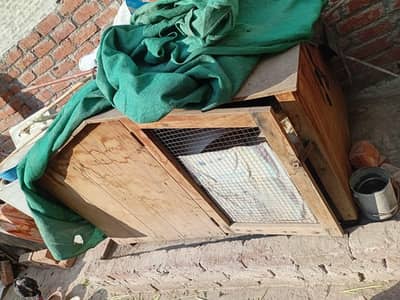 dog house pure wood