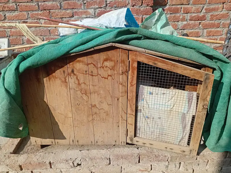 dog house pure wood — photo 3