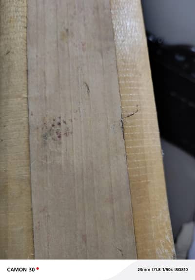 HARD BALL CRICKET BAT