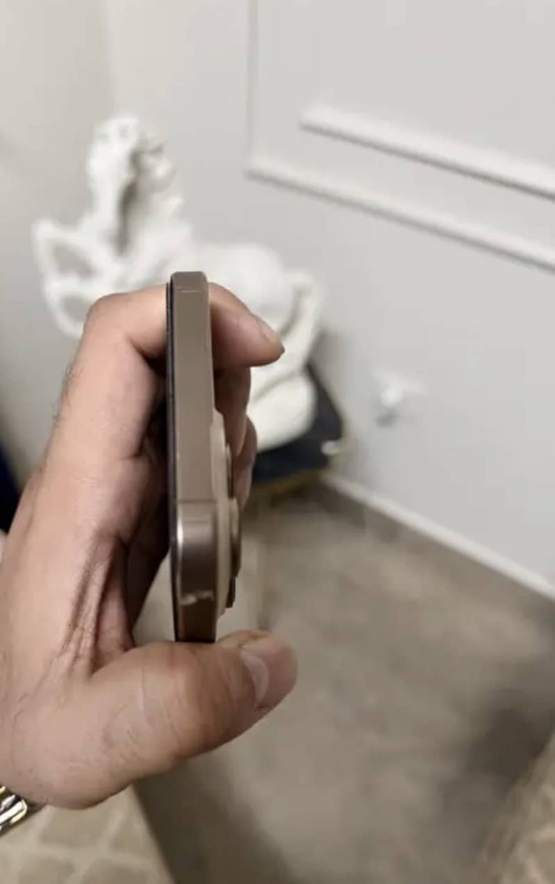 Apple iPhone 16 Pro Max 1