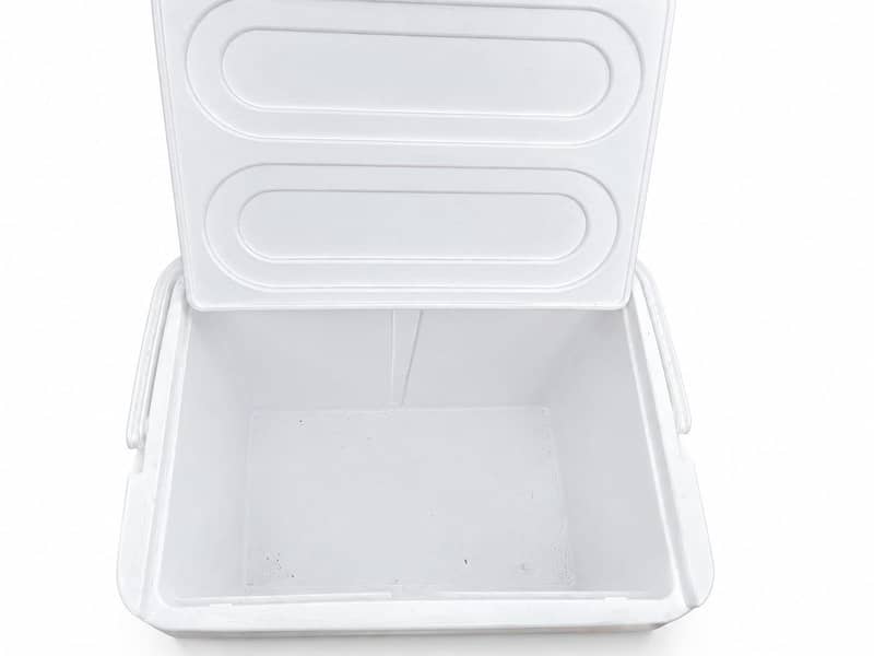 Ice cooler 1