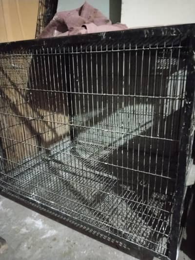 Iron cage for sale Big Perrots Raw, Mecuw, African Gary etc