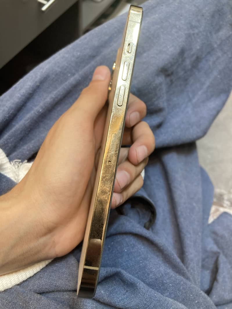 Apple iPhone 12 Pro Max 1