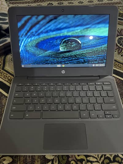 HP chrome book