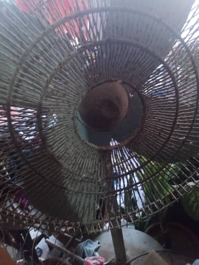 Yunas fahs fan