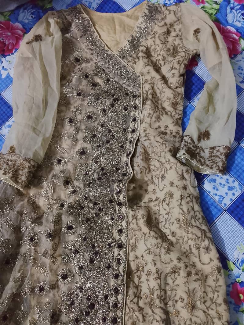 fancy suit 1