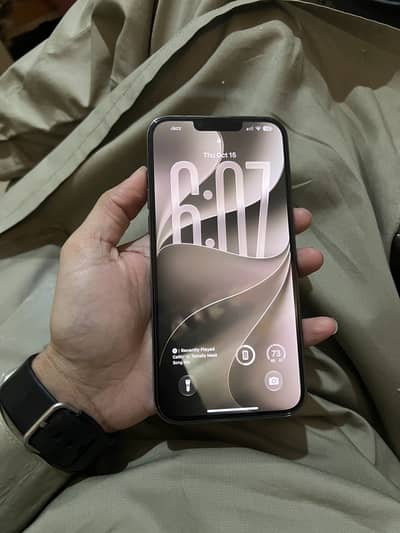 Apple iPhone 13 Pro Max