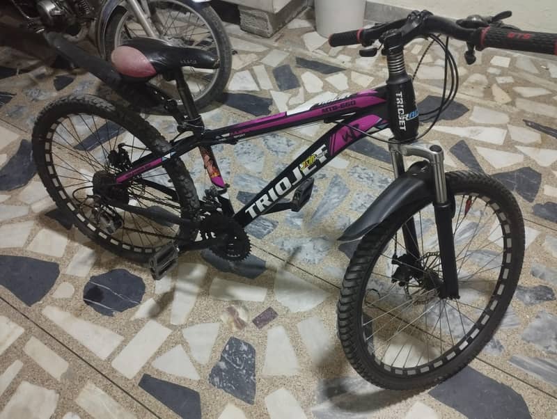 Bicycle 0