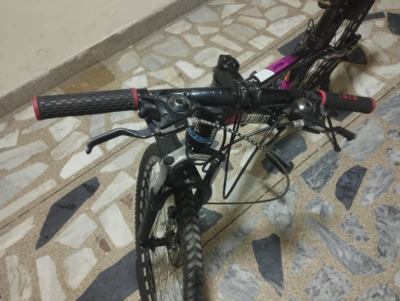 Bicycle 1
