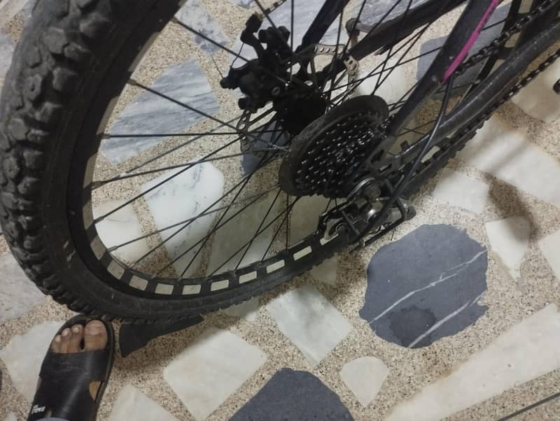 Bicycle 2