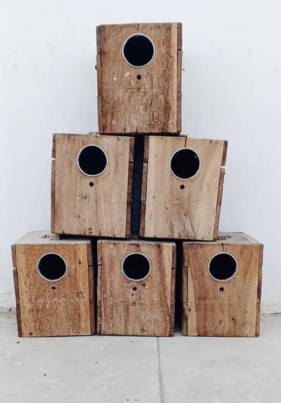 LOVEBIRD KEEKAR BOX