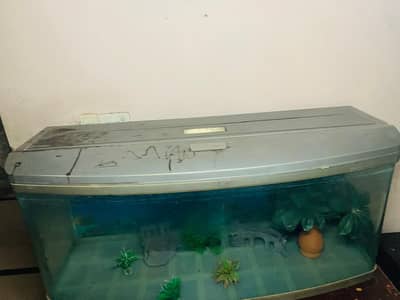 Fish Aquarium Tank