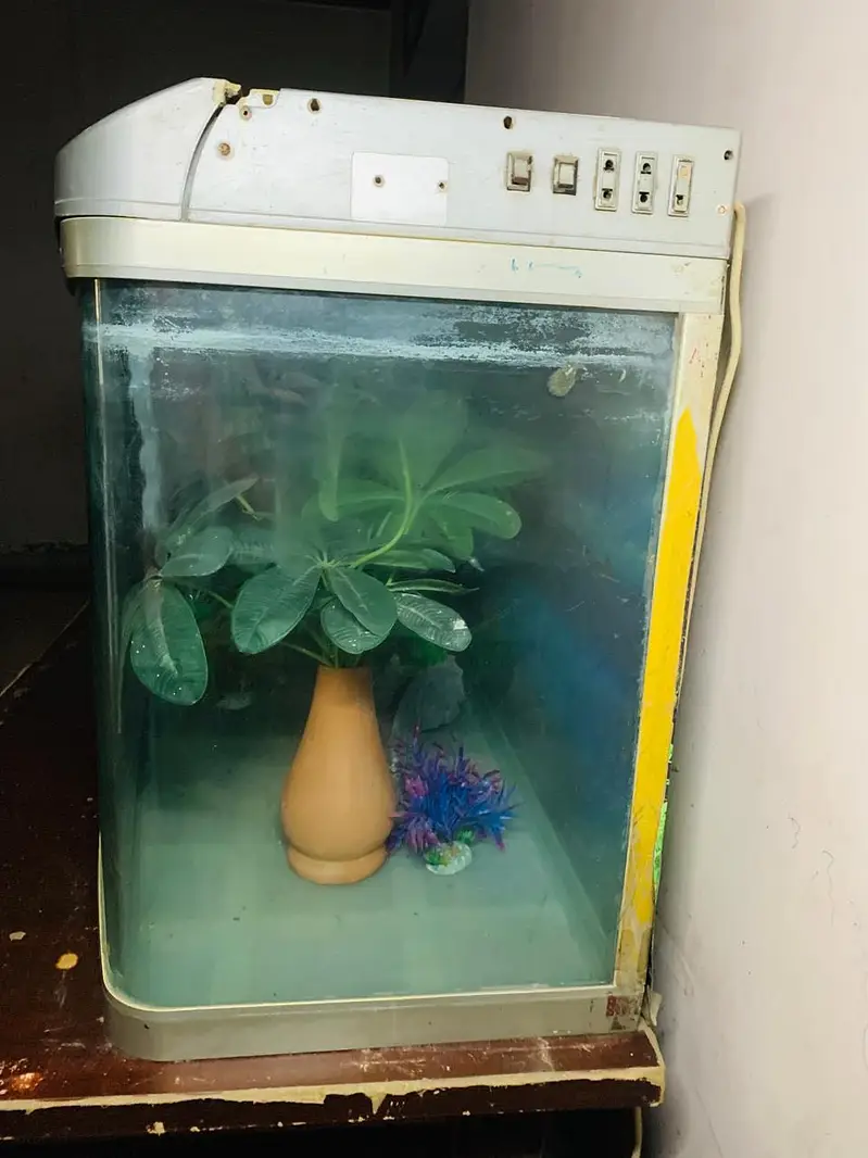Fish Aquarium Tank — photo 2