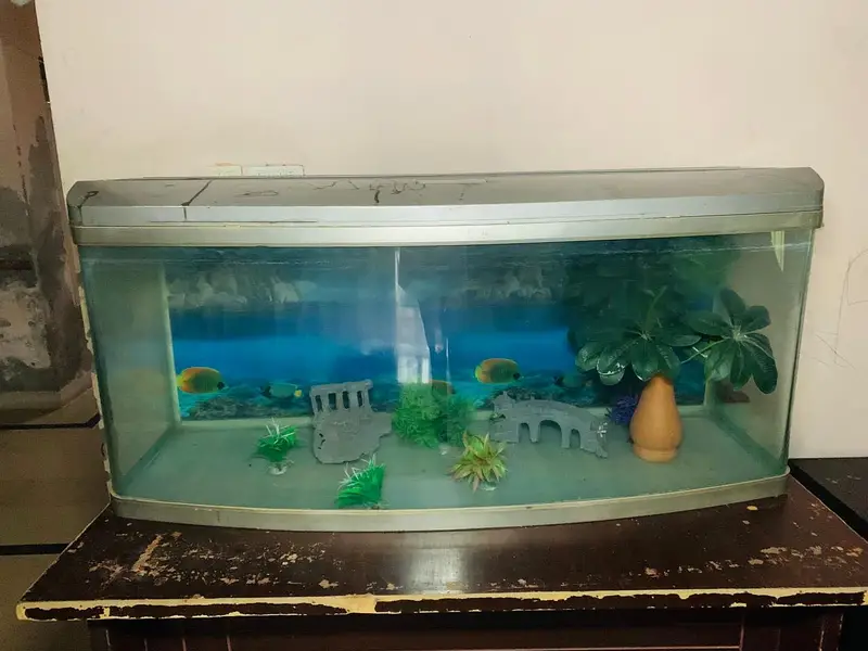 Fish Aquarium Tank — photo 3