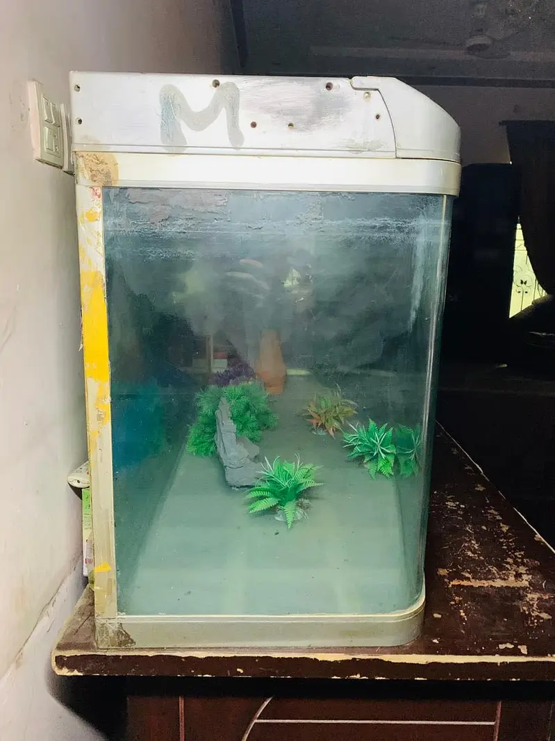 Fish Aquarium Tank — photo 5