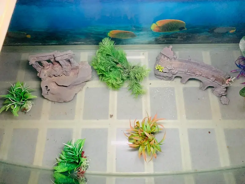 Fish Aquarium Tank — photo 6