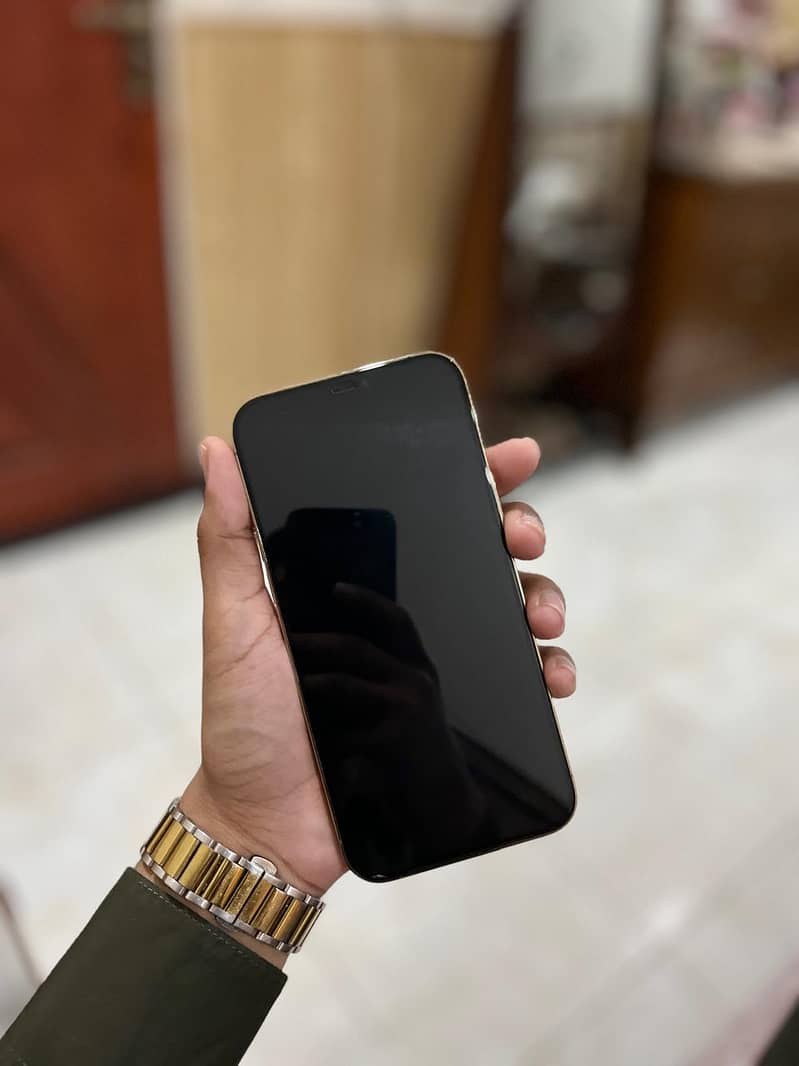 ip 12 pro max 2